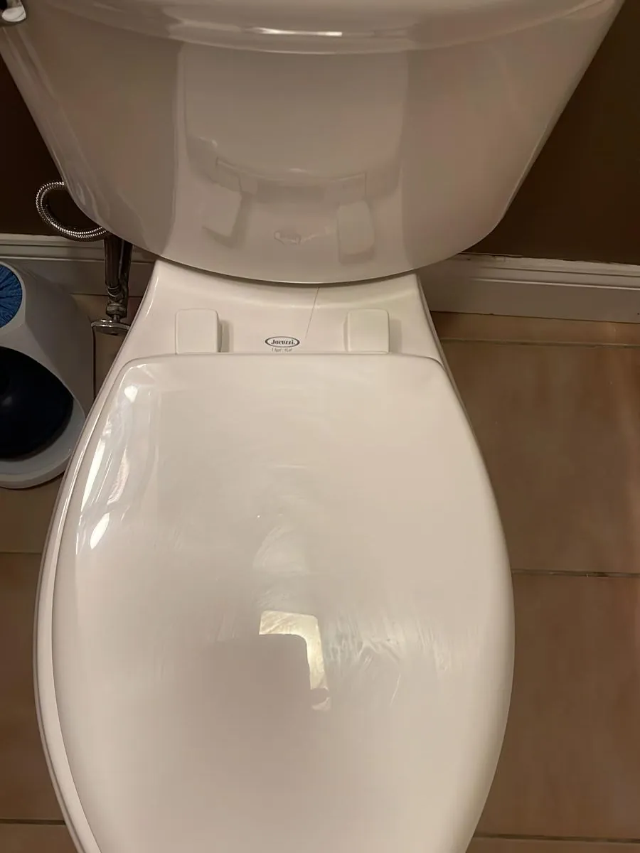 Toilet base and seat hinges after a deep cleaning in Clinton, MA
