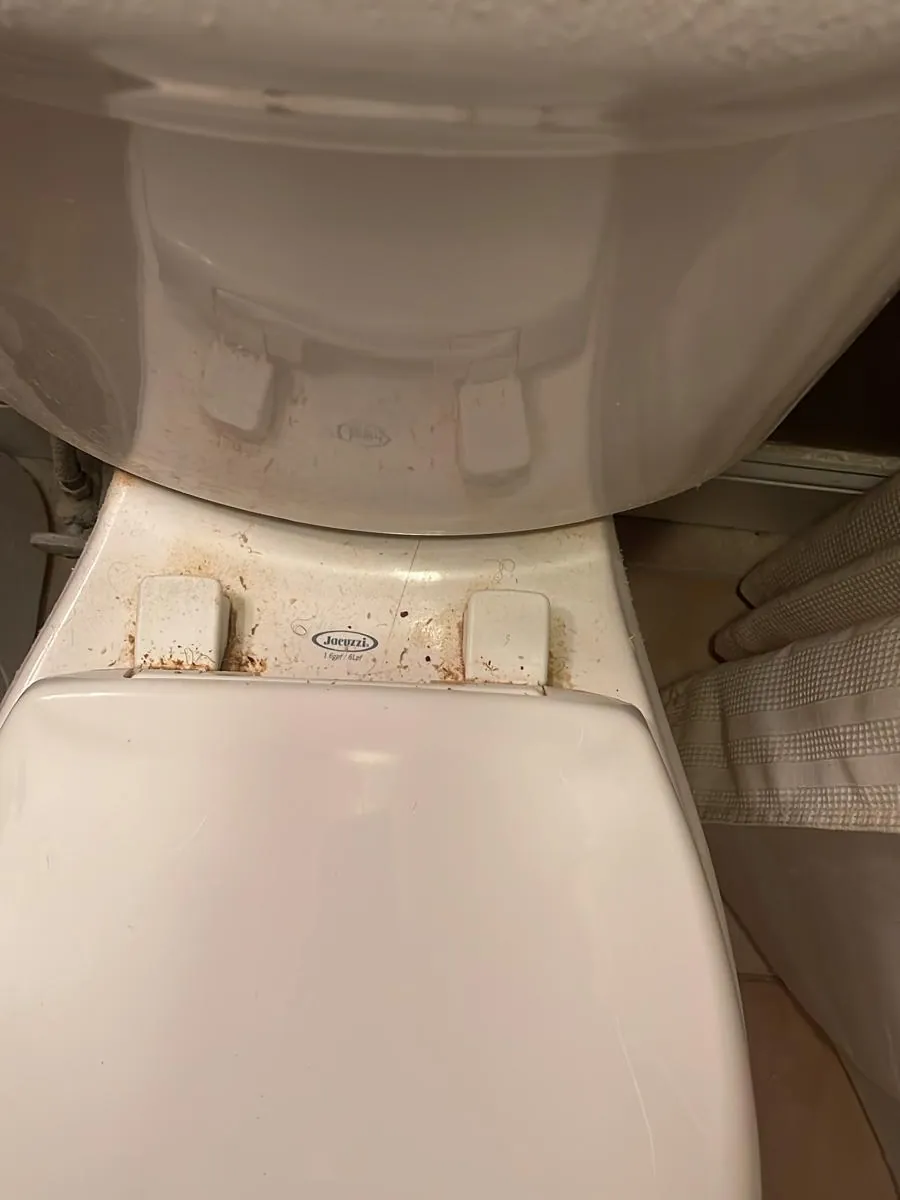Toilet base and seat hinges before deep cleaning in Clinton, MA, with rust-coloured build-up